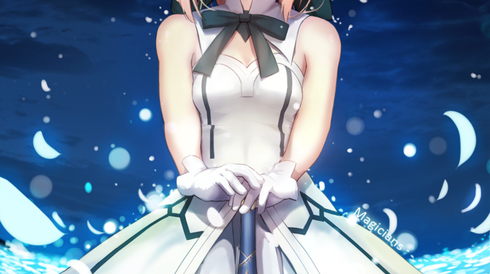 Saber Lily, fate series