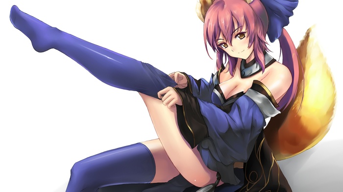 Caster FateExtra, FateExtra, fate series