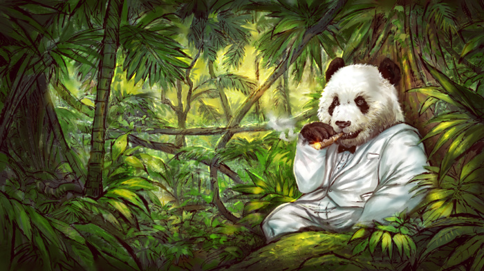 tuxedo, jungle, cigars, panda