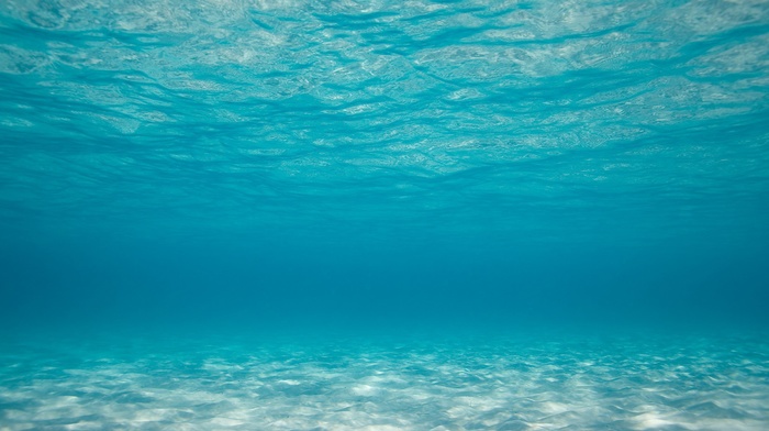 water, sea, underwater, photography