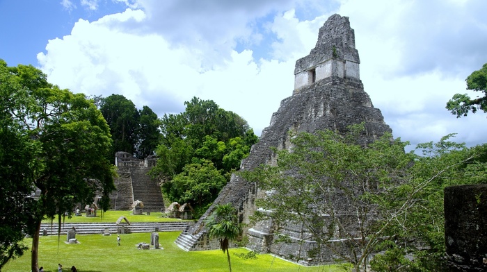 Maya civilization, ruins, trees, pyramid
