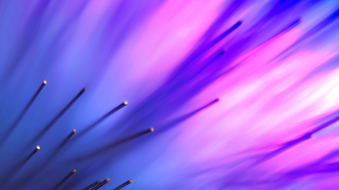 macro, optic fiber