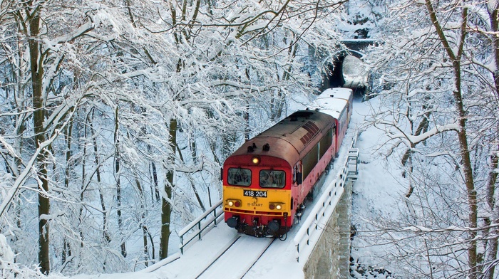 winter, train