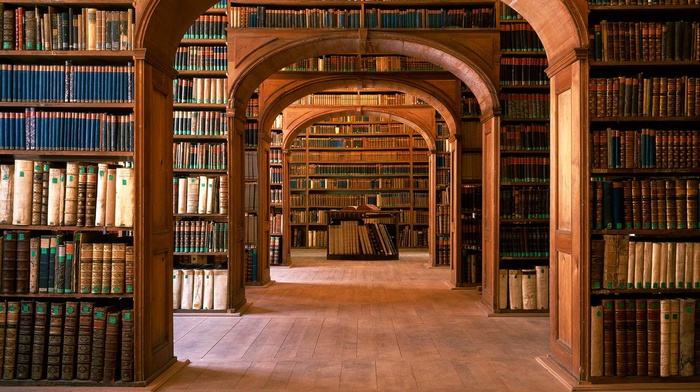 knowledge, shelves, library, interior, interior design, books