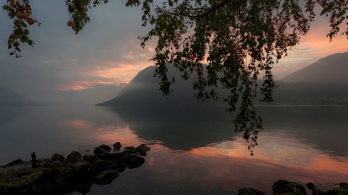 trees, reflection, calm, atmosphere, lake, nature, mountains, mist, landscape