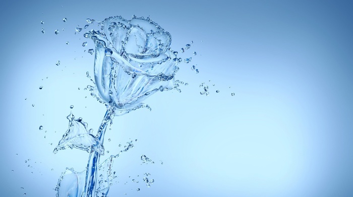 water, rose, abstract