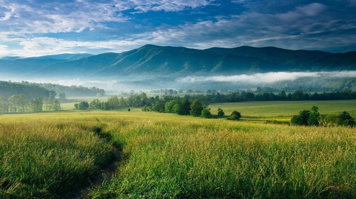 North Carolina, nature, landscape, valley, clouds, mountains, trees, mist