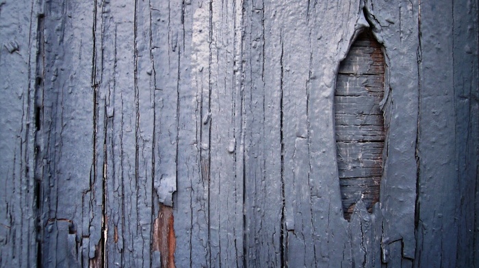 texture, simple, wall, planks, wooden surface, wood, structure