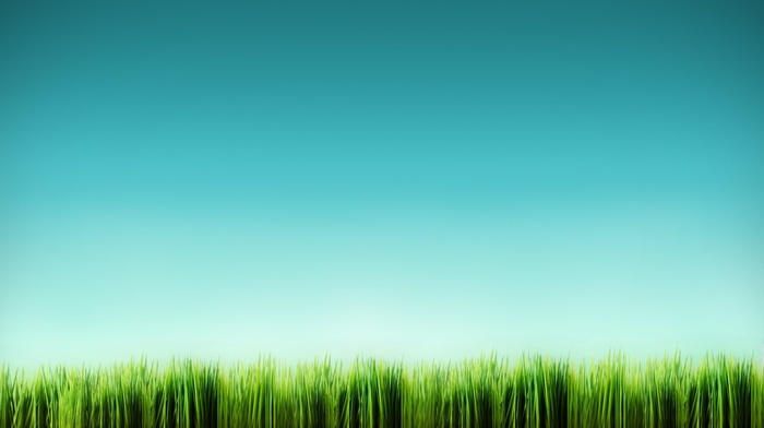 digital art, grass