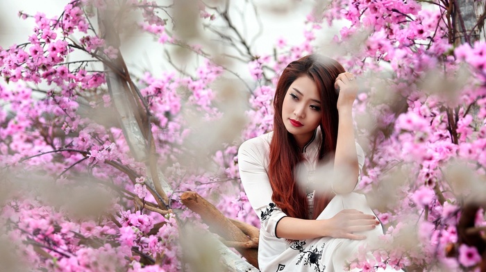 girl, model, trees, Asian