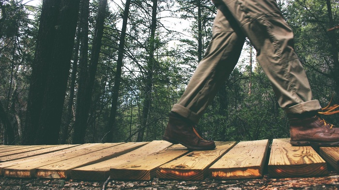 walking, wood, forest, fall, people, nature, pants, shoes, trees