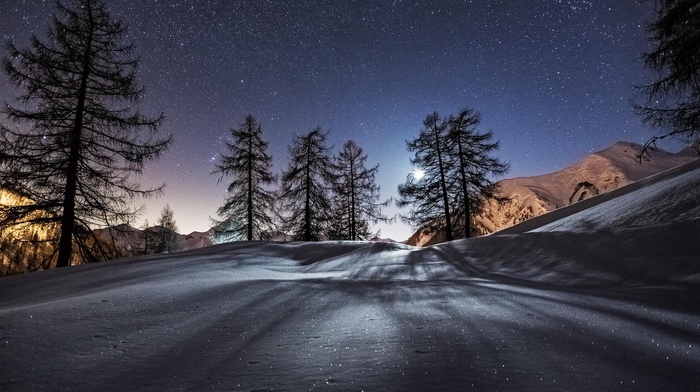 mountains, snow, nature, photography, trees, landscape, night, moon