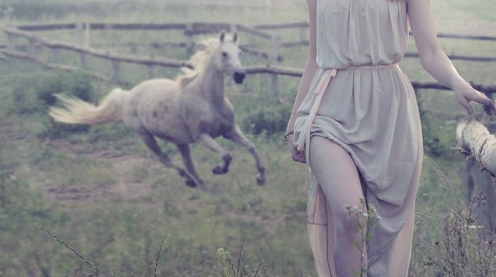 girl, animals, horse, dress, model, girl outdoors