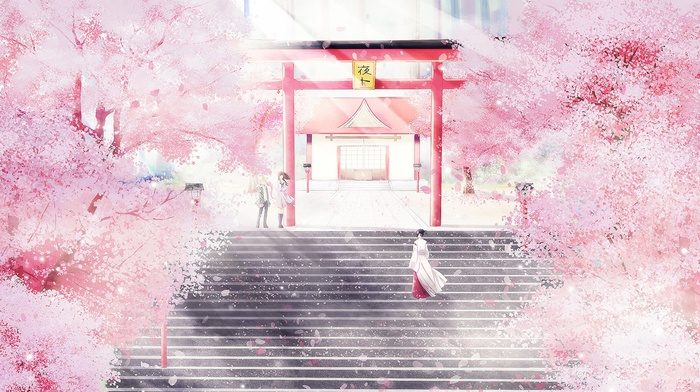 Noragami, cherry blossom, cherry trees, shrine, Iki Hiyori