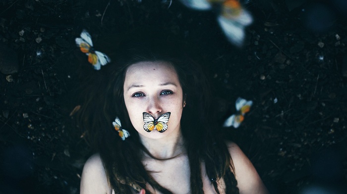 brunette, birds eye view, butterfly, looking at viewer, girl, braids