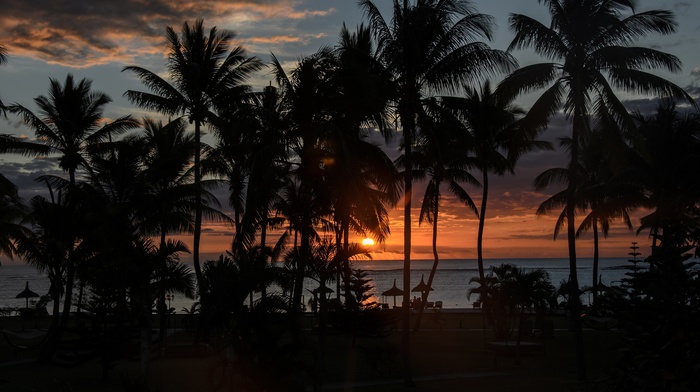 sunset, silhouette, Sun, palm trees