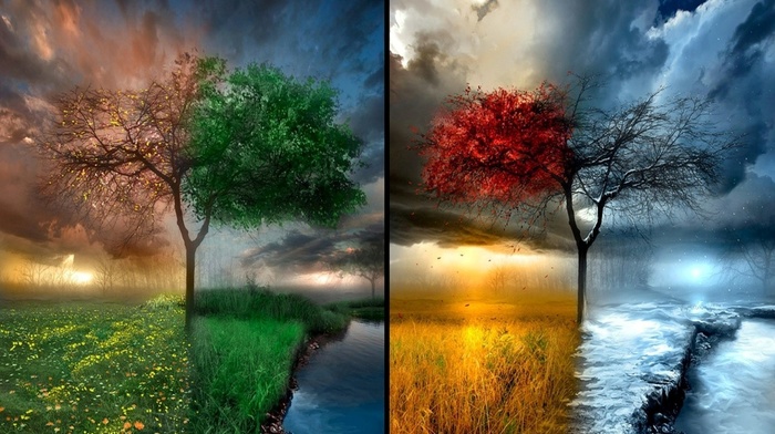 grass, Sun, trees, water, leaves, winter, sky, snow, summer, rain, seasons