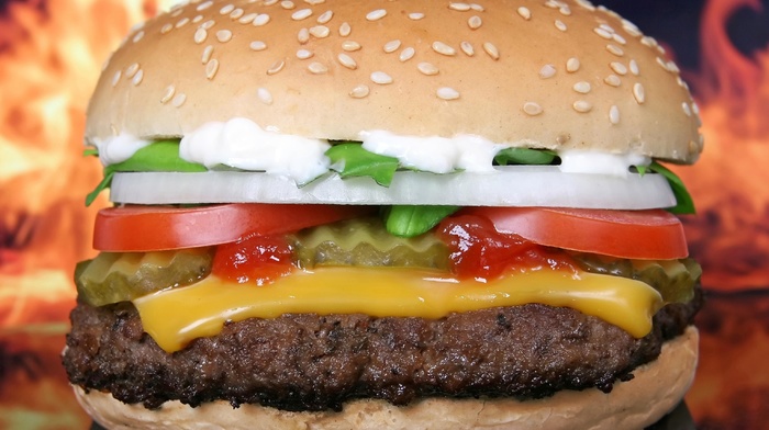 closeup, fast food, burgers, food, burger