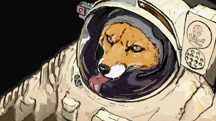 starfox, space, fox