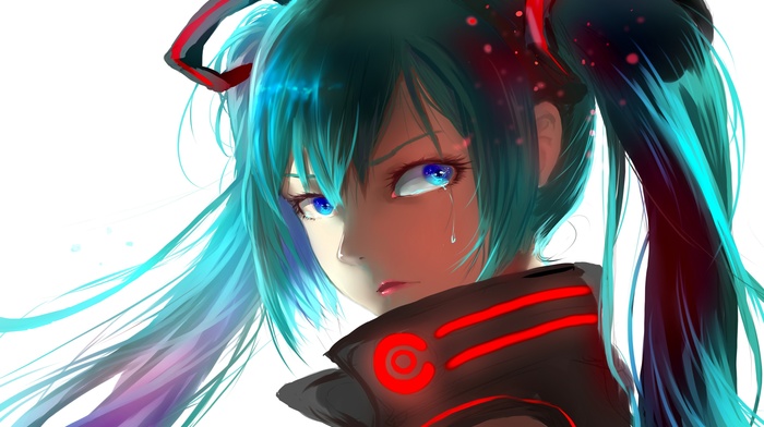 Hatsune Miku, Vocaloid