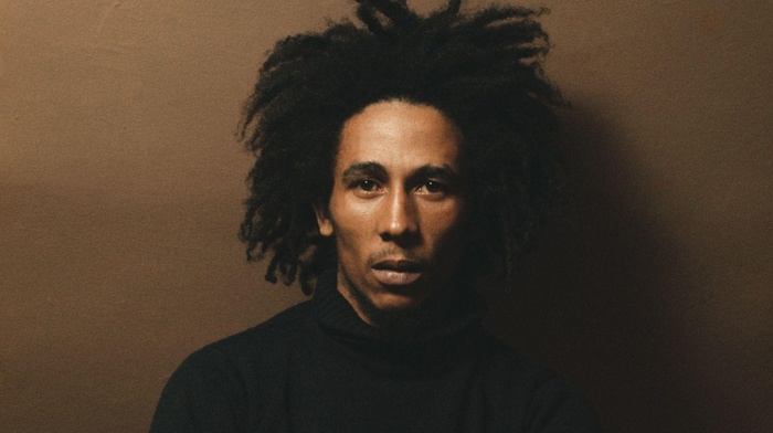 Bob Marley, Reggae, dreadlocks, men, musician