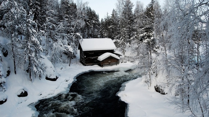 nature, trees, ice, river, cabin, snow