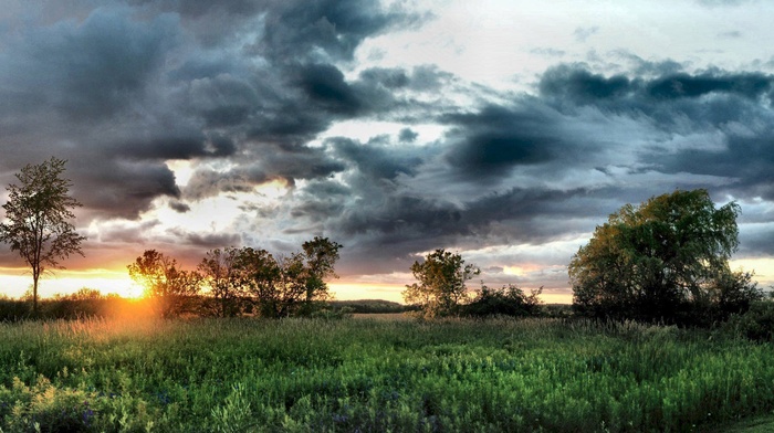 sunset, grass, HDR, clouds, nature, trees