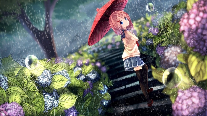 umbrella, anime girls, original characters, anime, flowers, rain