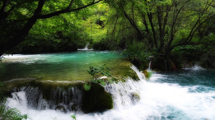 water, river, waterfall, nature, Plitvice National Park, Croatia