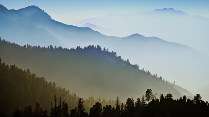 mist, mountains, forest, Mac OS X, OS X