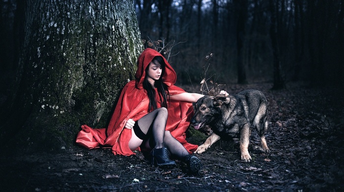 Little Red Riding Hood, cape, dog, fantasy art, model, fishnet stockings, girl