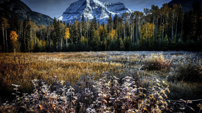 landscape, nature, winter, mountains