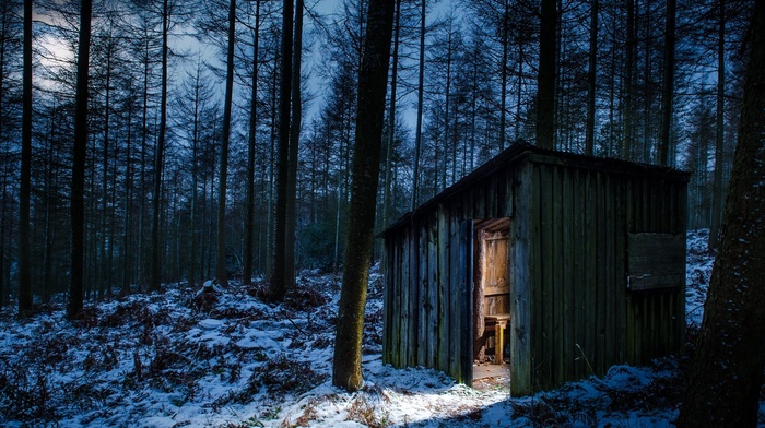 nature, landscape, hut, moonlight, trees, cold, snow, forest, winter, moon