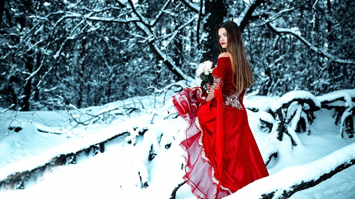 girl outdoors, trees, snow, model, girl, dress