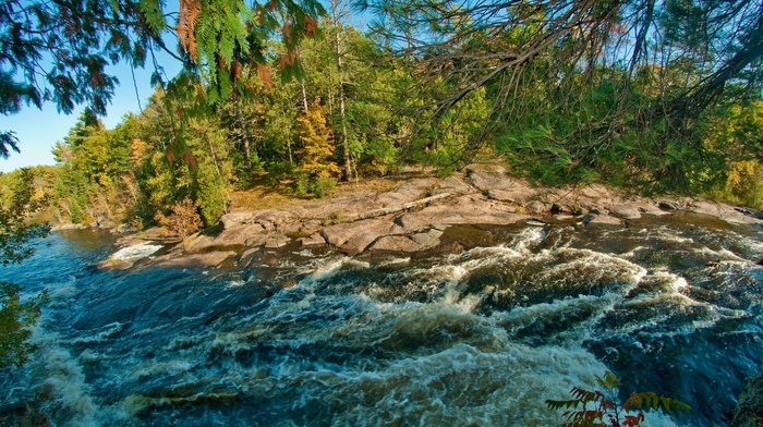 forest, river, landscape, rapids, trees, nature