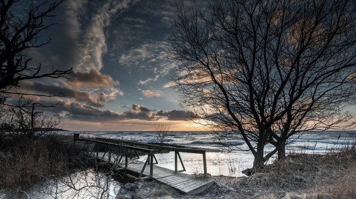 winter, nature, landscape