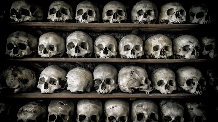 death, bones, skull