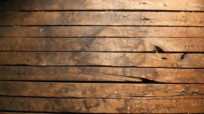 closeup, timber, texture, wood