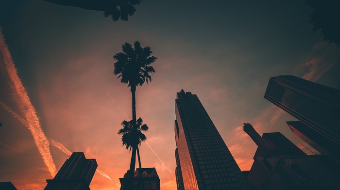 sunset, building, cityscape, palm trees