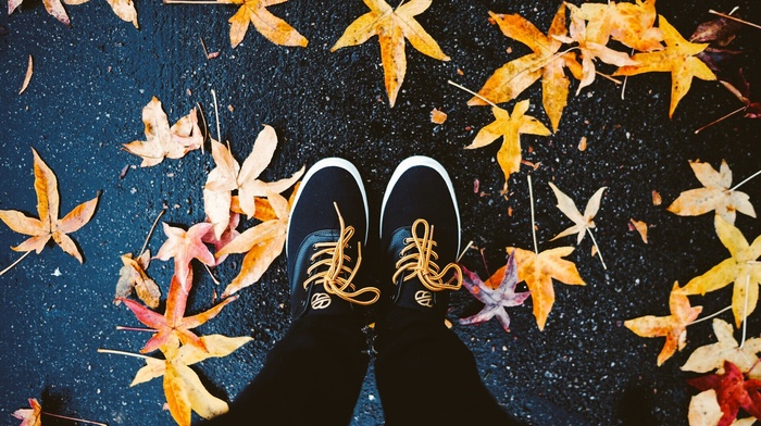 maple leaves, feet, shoes, fall, leaves, birds eye view