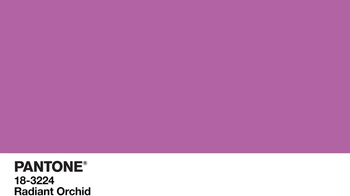 purple, color codes, colorful, minimalism, simple