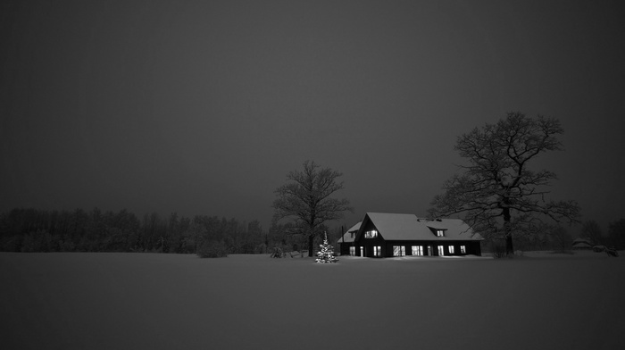 house, brown, snow, dark