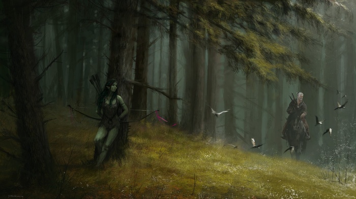 The Witcher, forest, fantasy art, The Witcher 3 Wild Hunt