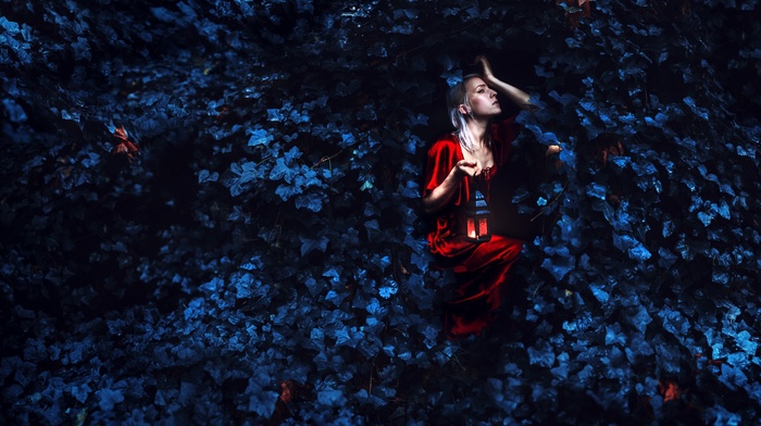 girl, red dress, leaves, lantern