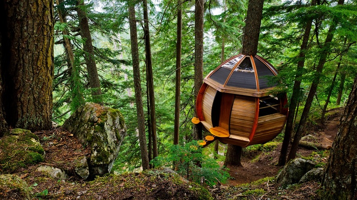 house, stones, sphere, nature, wood, dirt road, environment, treehouse, branch, rock, architecture, moss, forest, trees, treehouses
