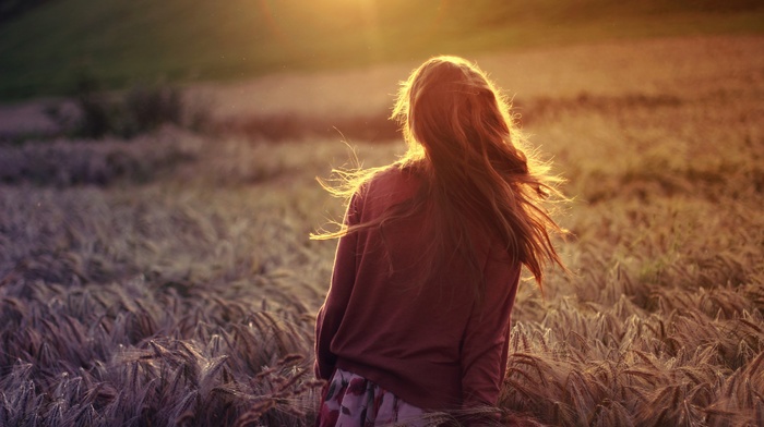 girl, sunlight, brunette, field