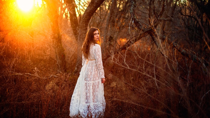 sunlight, forest, girl, Golden Hour, looking back, model, girl outdoors, white dress