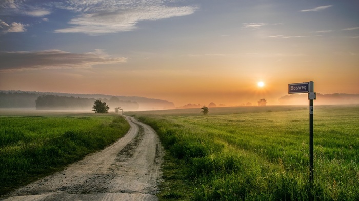 landscape, Bosweg, nature