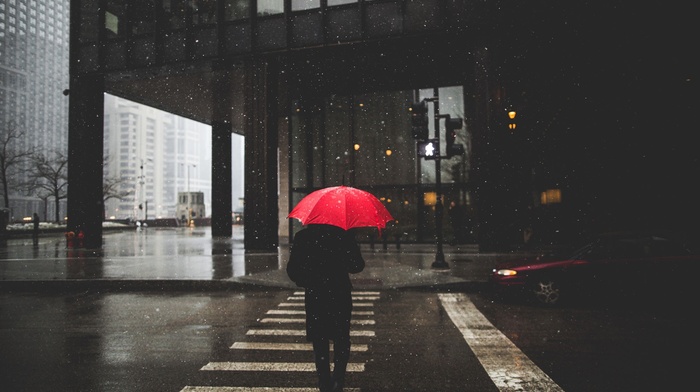 rain, umbrella, street