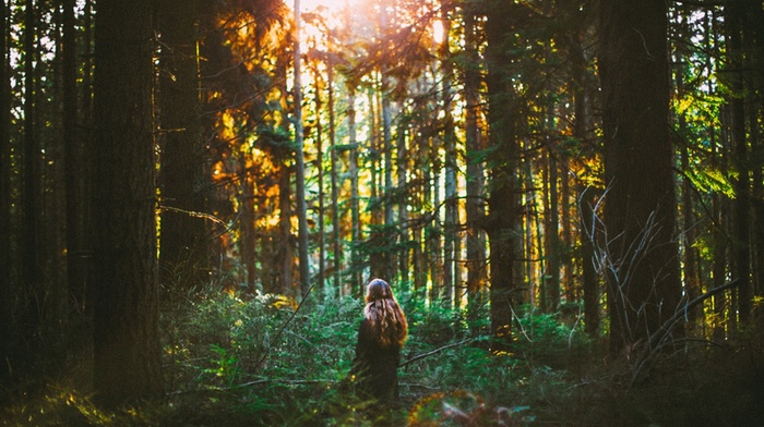 girl, forest, sunlight